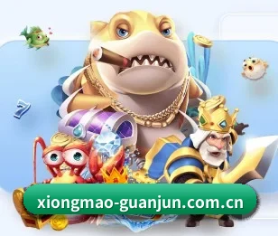 熊猫体育资讯围绕看球场景设计的核心服务