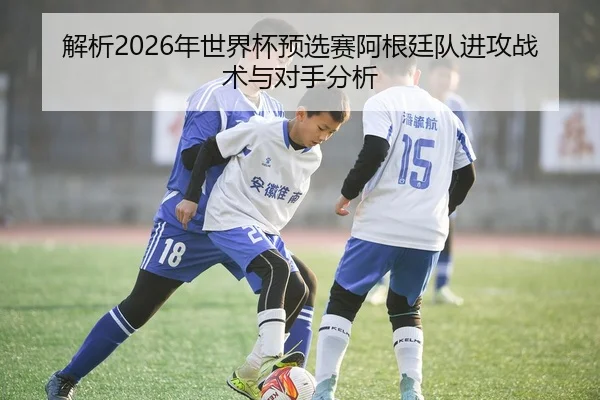 解析2026年世界杯预选赛阿根廷队进攻战术与对手分析