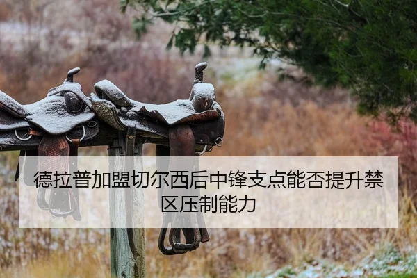 德拉普加盟切尔西后中锋支点能否提升禁区压制能力