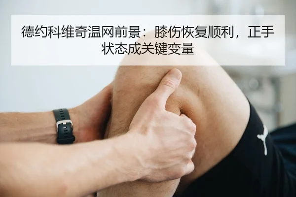 de-yue-ke-wei-qi-wen-wang-qian-jing-xi-shang-hui-fu-shun-li-zheng-shou-zhuang-tai-cheng-guan-jian-bian-liang-2-630.jpg