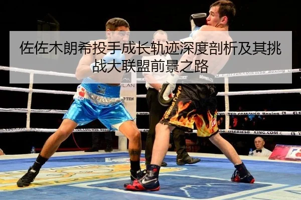 zuo-zuo-mu-lang-xi-tou-shou-cheng-zhang-gui-ji-shen-du-pou-xi-ji-qi-tiao-zhan-da-lian-meng-qian-jing-zhi-lu-2-227.jpg
