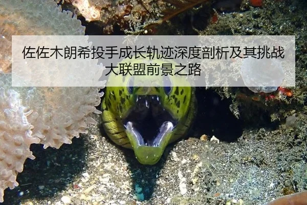 佐佐木朗希投手成长轨迹深度剖析及其挑战大联盟前景之路